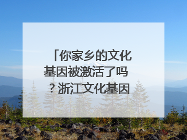 你家乡的文化基因被激活了吗？浙江文化基因图谱即将上线