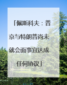 佩斯科夫：普京与特朗普尚未就会面事宜达成任何协议