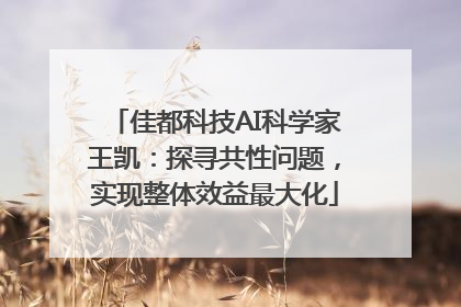 佳都科技AI科学家王凯：探寻共性问题，实现整体效益最大化