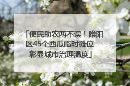 便民助农两不误！睢阳区45个西瓜临时摊位 彰显城市治理温度