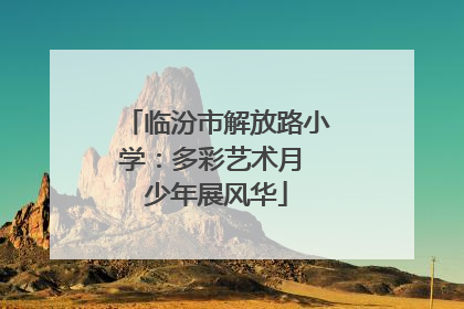 临汾市解放路小学：多彩艺术月 少年展风华