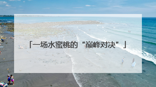 一场水蜜桃的“巅峰对决”