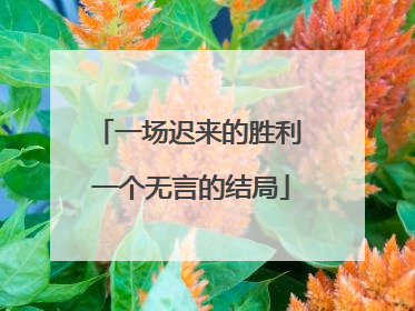 一场迟来的胜利 一个无言的结局
