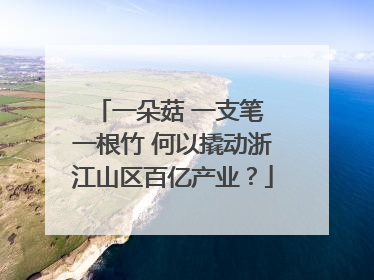 一朵菇 一支笔 一根竹 何以撬动浙江山区百亿产业？