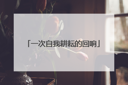 一次自我耕耘的回响