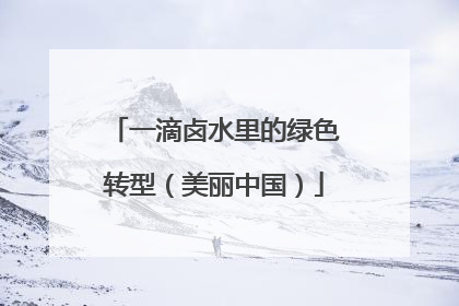 一滴卤水里的绿色转型（美丽中国）