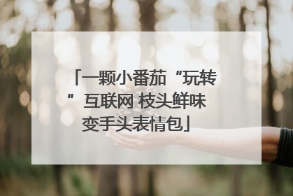 一颗小番茄“玩转”互联网 枝头鲜味变手头表情包