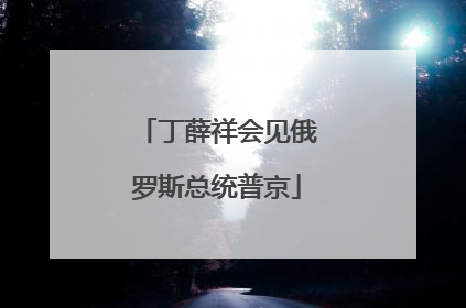 丁薛祥会见俄罗斯总统普京