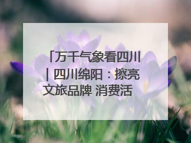 万千气象看四川｜四川绵阳：擦亮文旅品牌 消费活力继续释放
