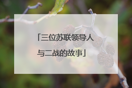 三位苏联领导人与二战的故事