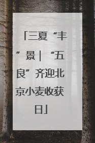三夏“丰”景｜“五良”齐迎北京小麦收获日