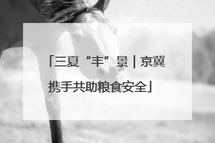 三夏“丰”景｜京冀携手共助粮食安全