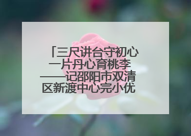 三尺讲台守初心 一片丹心育桃李——记邵阳市双清区新渡中心完小优秀教师姚丹