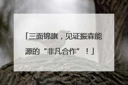 三面锦旗，见证振森能源的“非凡合作”！