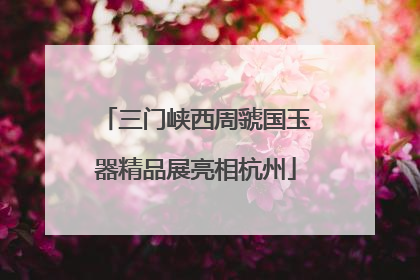 三门峡西周虢国玉器精品展亮相杭州