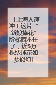 上海人速冲！这片“新娘捧花”阶梯藏不住了，近5万株绣球花如梦似幻
