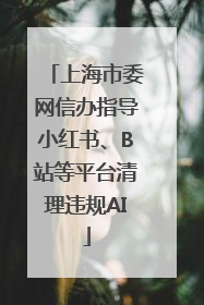 上海市委网信办指导小红书、B站等平台清理违规AI