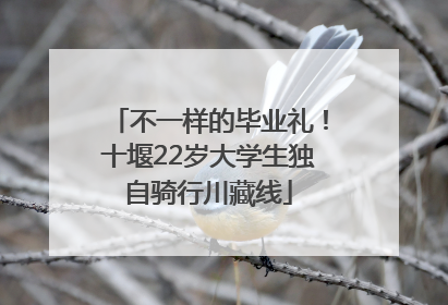 不一样的毕业礼！十堰22岁大学生独自骑行川藏线