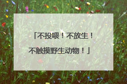 不投喂！不放生！不触摸野生动物！