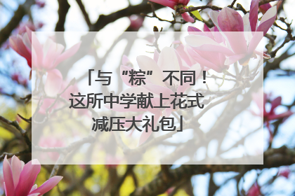 与“粽”不同！这所中学献上花式减压大礼包