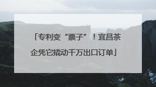 专利变“票子”！宜昌茶企凭它撬动千万出口订单