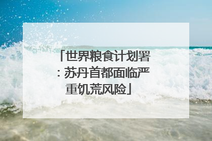 世界粮食计划署：苏丹首都面临严重饥荒风险