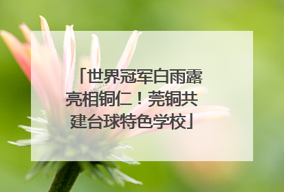 世界冠军白雨露亮相铜仁！莞铜共建台球特色学校