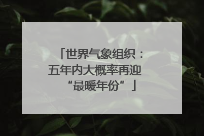 世界气象组织：五年内大概率再迎“最暖年份”