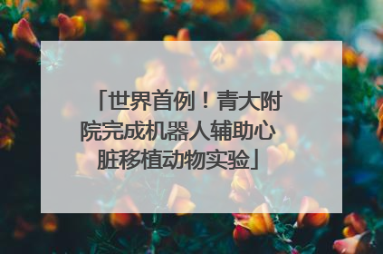 世界首例！青大附院完成机器人辅助心脏移植动物实验