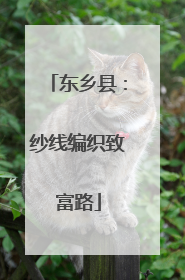 东乡县：纱线编织致富路