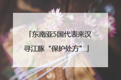 东南亚5国代表来汉寻江豚“保护处方”