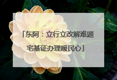 东阿：立行立改解难题 宅基证办理暖民心