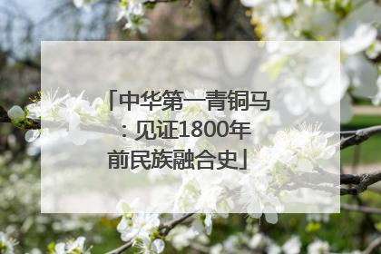 中华第一青铜马：见证1800年前民族融合史