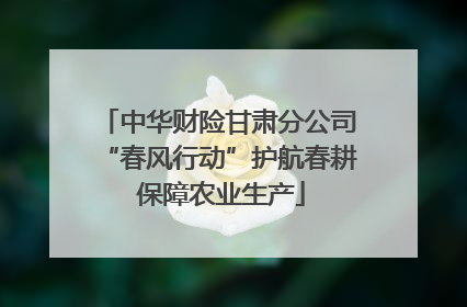 中华财险甘肃分公司“春风行动”护航春耕 保障农业生产