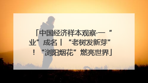中国经济样本观察·一“业”成名丨“老树发新芽”！“浏阳烟花”燃亮世界