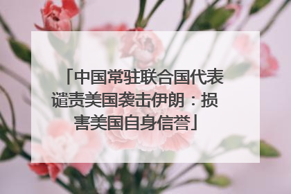 中国常驻联合国代表谴责美国袭击伊朗：损害美国自身信誉
