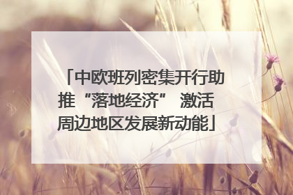 中欧班列密集开行助推“落地经济” 激活周边地区发展新动能
