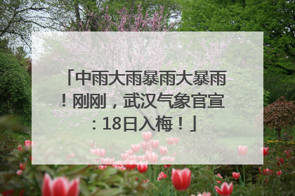 中雨大雨暴雨大暴雨！刚刚，武汉气象官宣：18日入梅！