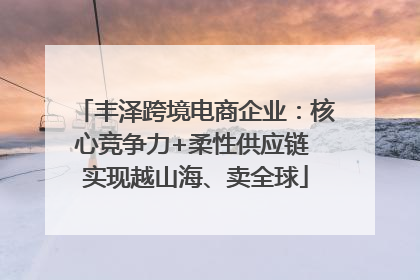 丰泽跨境电商企业：核心竞争力+柔性供应链 实现越山海、卖全球
