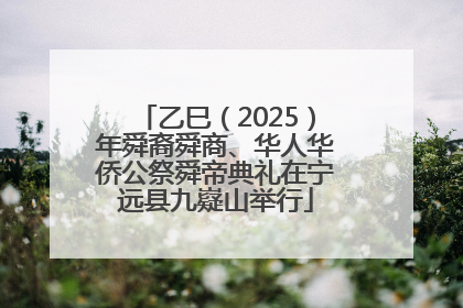 乙巳（2025）年舜裔舜商、华人华侨公祭舜帝典礼在宁远县九嶷山举行