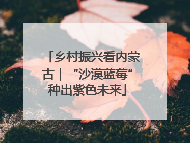 乡村振兴看内蒙古｜“沙漠蓝莓”种出紫色未来