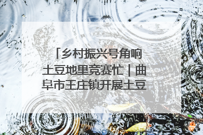 乡村振兴号角响 土豆地里竞赛忙｜曲阜市王庄镇开展土豆收获劳动竞赛