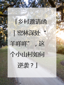 乡村邀请函｜密林深处“羊咩咩”，这个小山村如何逆袭？