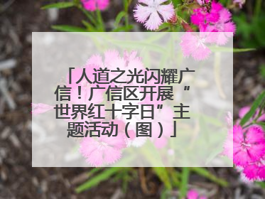 人道之光闪耀广信！广信区开展“世界红十字日”主题活动（图）