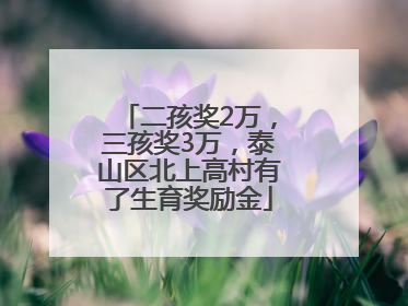 二孩奖2万，三孩奖3万，泰山区北上高村有了生育奖励金
