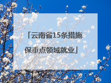 云南省15条措施保重点领域就业