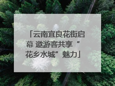 云南宜良花街启幕 邀游客共享“花乡水城”魅力