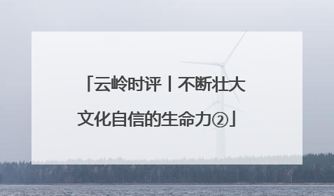 云岭时评丨不断壮大文化自信的生命力②