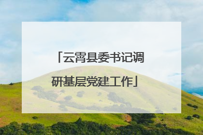云霄县委书记调研基层党建工作