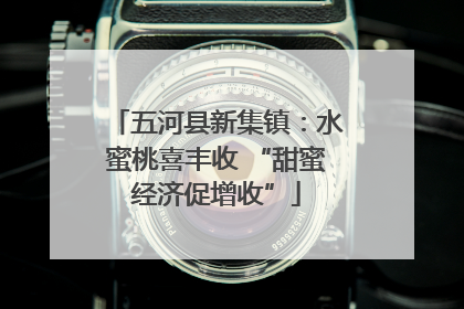 五河县新集镇：水蜜桃喜丰收 “甜蜜经济促增收”